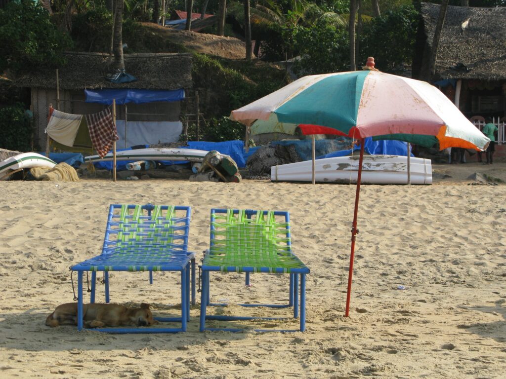 Dog asleep on a beach under a sun canopy